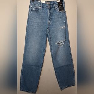 Levi's Premium Baggy Jean